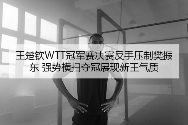 王楚钦WTT冠军赛决赛反手压制樊振东 强势横扫夺冠展现新王气质
